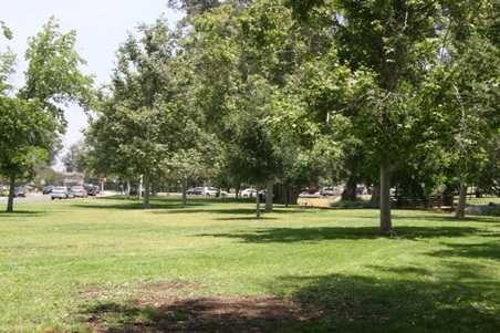 Enlarge photo 34