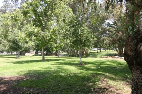 Enlarge photo 35