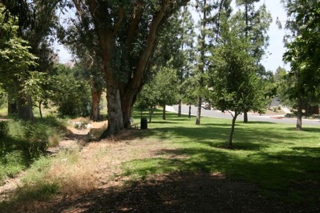 Enlarge photo 36