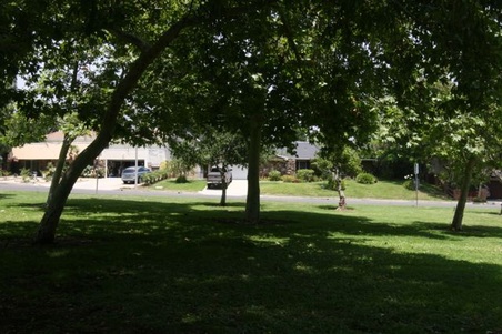 Enlarge photo 37