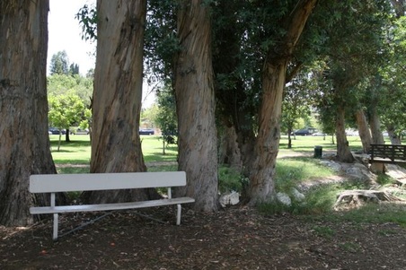 Enlarge photo 38