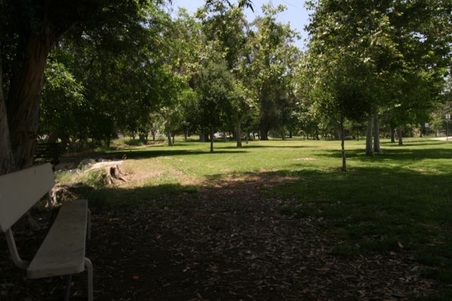 Enlarge photo 39