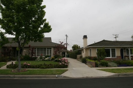 Enlarge photo 51