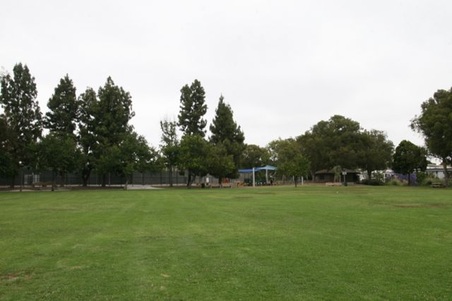 Enlarge photo 56