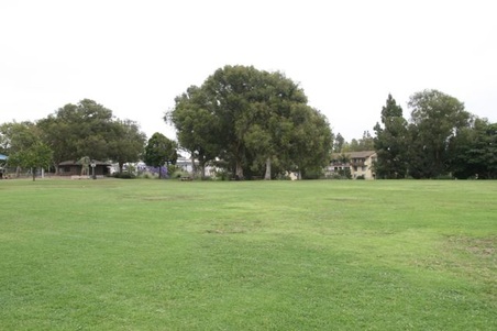 Enlarge photo 57
