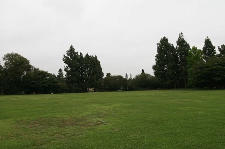 Enlarge photo 58
