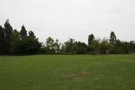 Enlarge photo 59