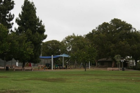 Enlarge photo 60