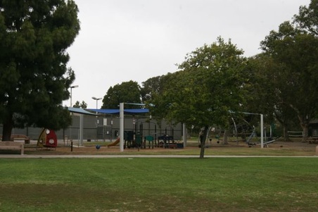 Enlarge photo 61
