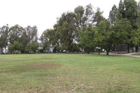 Enlarge photo 63
