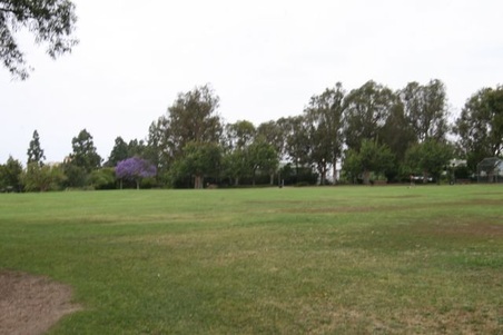 Enlarge photo 64