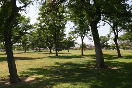Enlarge photo 38