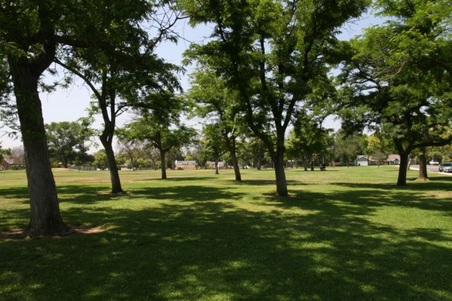 Enlarge photo 39