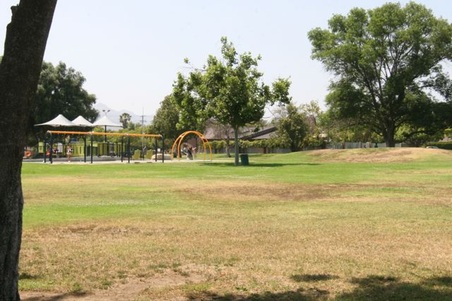Enlarge photo 41
