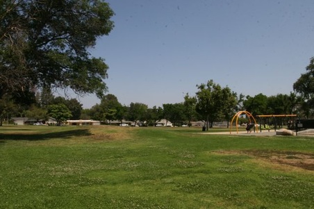Enlarge photo 43