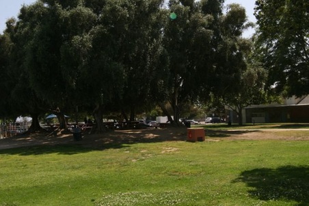 Enlarge photo 45