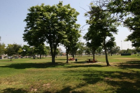 Enlarge photo 46