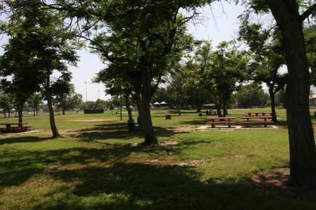 Enlarge photo 47