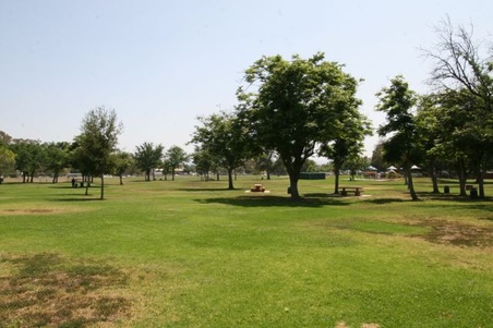 Enlarge photo 48