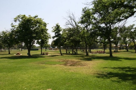 Enlarge photo 49