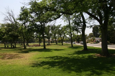 Enlarge photo 50