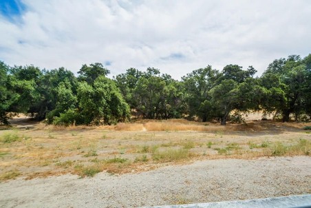 Enlarge photo 46