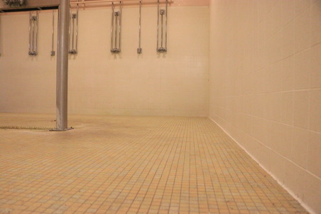 Enlarge photo 30