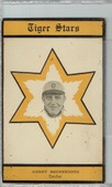 Topping Detroit Tigers Postcards