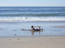 Enlarge photo 25