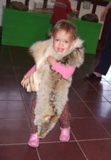 Enlarge photo 80