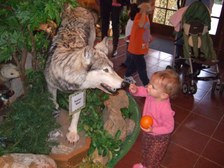 Enlarge photo 79