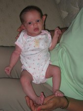 Enlarge photo 176