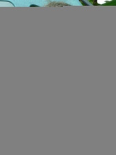 Enlarge photo 54