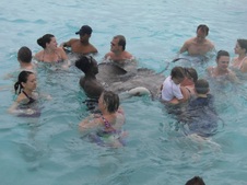 Enlarge photo 58
