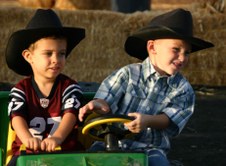 Enlarge photo 85