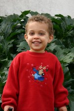 Enlarge photo 40