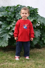 Enlarge photo 41