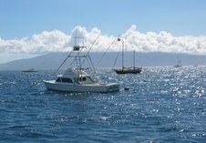 Enlarge photo 54