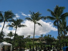 Enlarge photo 33