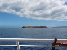 Enlarge photo 36