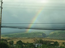 Enlarge photo 38