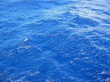 Enlarge photo 45