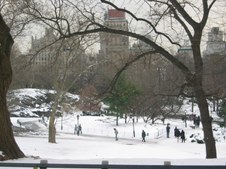 Enlarge photo 52