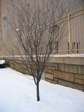 Enlarge photo 26