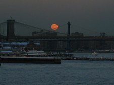 Enlarge photo 35