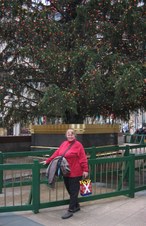 Enlarge photo 43