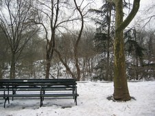 Enlarge photo 54