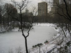 Enlarge photo 55