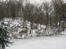 Enlarge photo 56