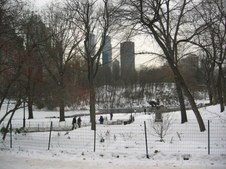 Enlarge photo 58